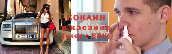 шишки Алексин