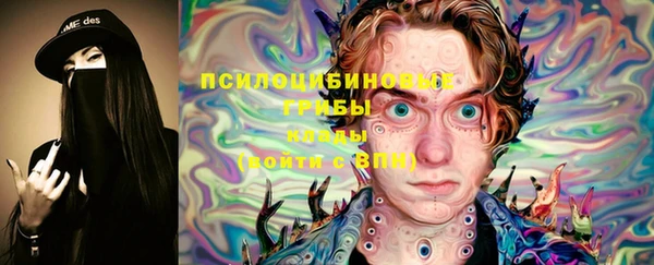 шишки Алексин