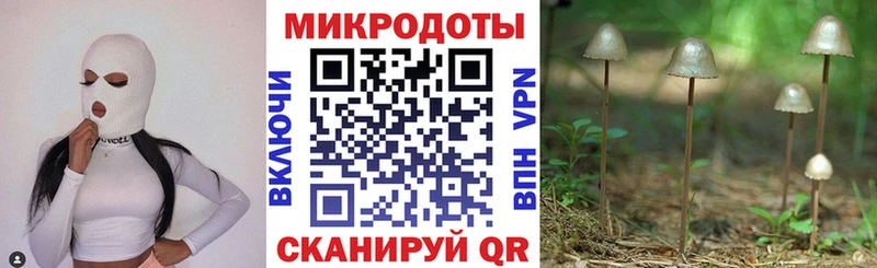 купить наркоту  Беслан  Псилоцибиновые грибы ЛСД 