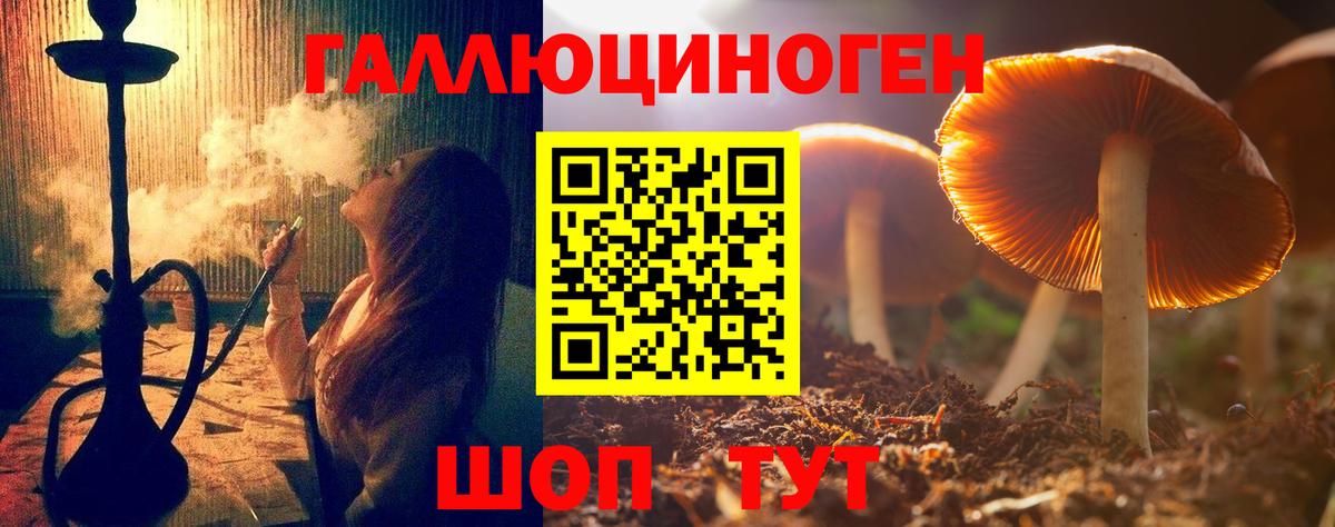 Псилоцибиновые грибы GOLDEN TEACHER Беслан