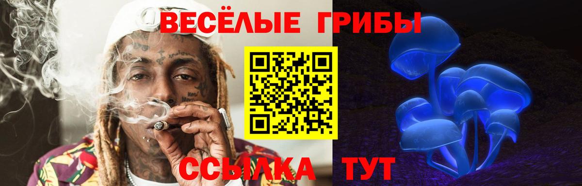Беслан  купить наркоту  Галлюциногенные грибы прущие грибы  Вход с VPN  Галлюциногенные грибы Psilocybe 