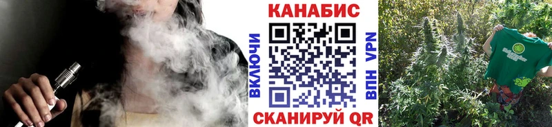 Бошки Шишки планчик  OMG онион  Беслан 
